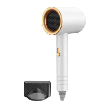 Professional Salon Hair Dryer with Ionic & Heat Protection - InflSelection 